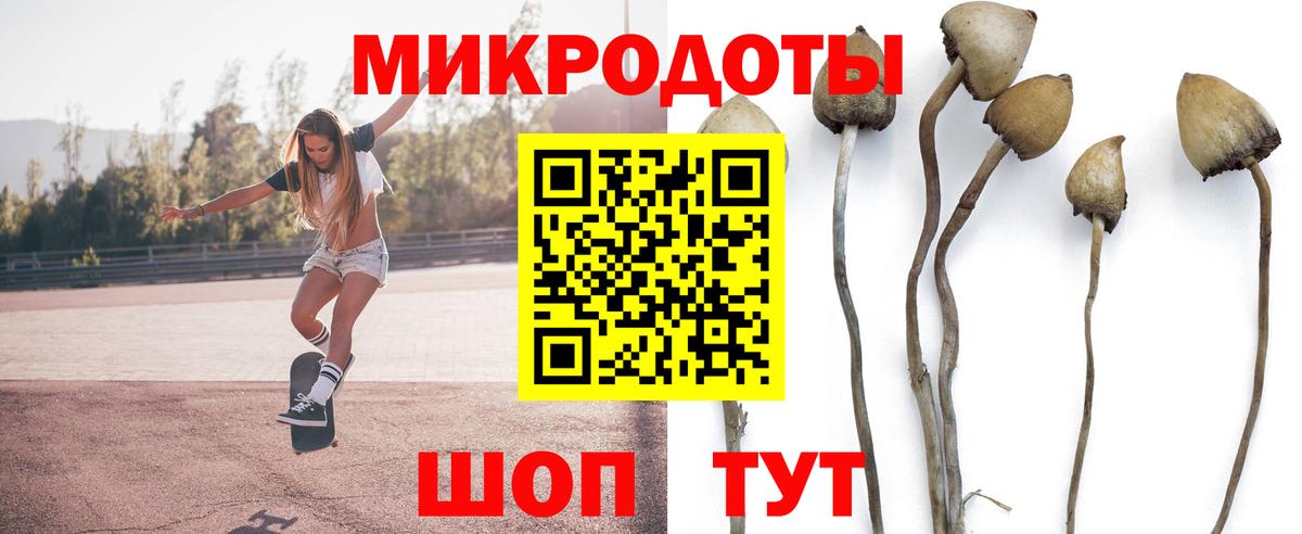 Псилоцибиновые грибы мухоморы  Вход с VPN  Мариинск 